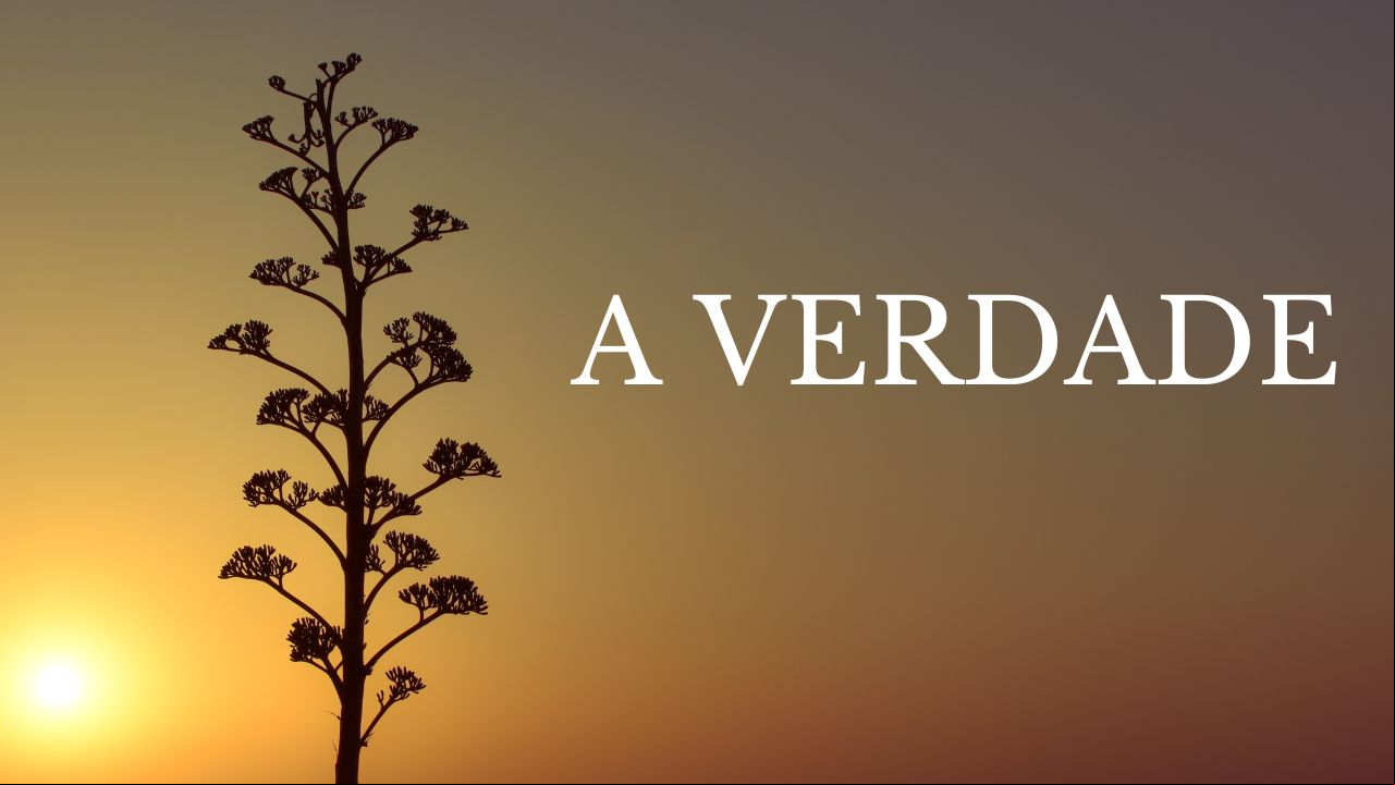 Imagem do card